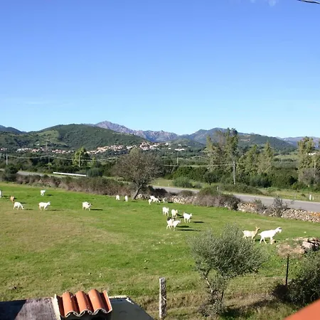 Budoni, Lu Linnalvu