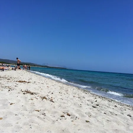 Budoni, Lu Linnalvu